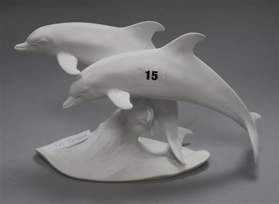 A Kaiser model of dolphins